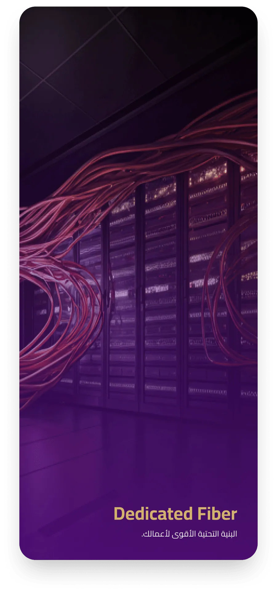 Dedicated Fiber — البنية التحتية الأقوى لأعمالك